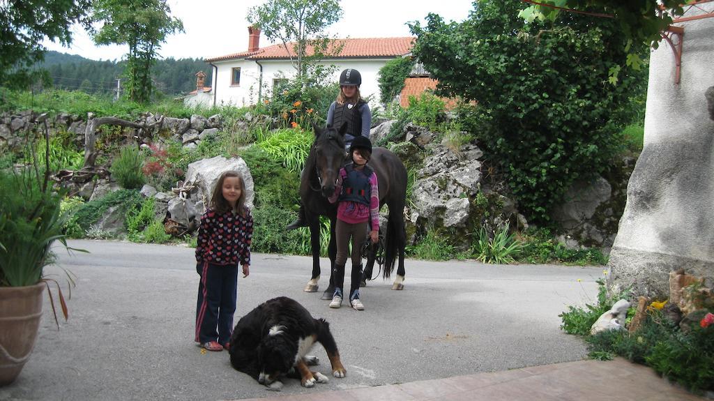 فيلا Tourist Farm Dujceva Domacija Vremski Britof المظهر الخارجي الصورة